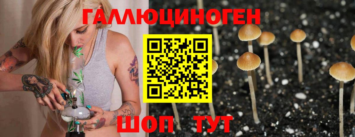 Псилоцибиновые грибы мицелий  Вход с VPN  Ангарск 